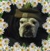 Profile Picture of Brad Embrey (@brad.embrey.5) on Facebook