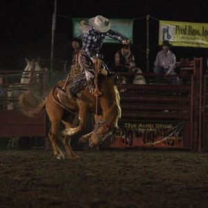 Profile Picture of Matt Bridges (@cdtbullrider) on Myspace