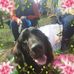 Profile Picture of Glenna Roberts (@glenna.roberts.10) on Facebook