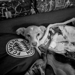 Profile Picture of Michael Rank (@michael.rank5) on Tiktok