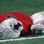 Profile Picture of Jim Stiles (@jimstiles.1) on Instagram