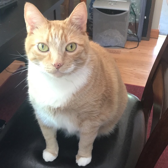 Profile Picture of Kate Fausnaught (@katiefaus) on Poshmark