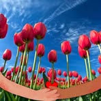 Profile Picture of Alson Rolland (@alson.rolland.2025) on Facebook