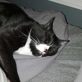 Danielle Austin - Pinterest Profile Picture of Danielle Austin (@jaberwoky21) on Pinterest