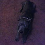 Profile Picture of Kevin Medlock (@medlockkevin) on Instagram