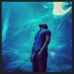 Jason Beverly - Instagram Profile Picture of Jason Beverly (@jasonblouis) on Instagram