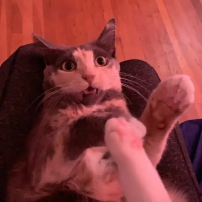 Profile Picture of Nicholas Tabares (@nicktabares) on Twitter