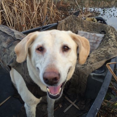 Barry Reiser - Twitter Profile Picture of Barry Reiser (@ReiserBarry) on Twitter