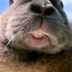 Profile Picture of Jacob Lowrey (@Jacob-Lowrey) on Facebook