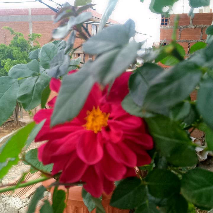 Profile Picture of Juana Simon (@juana.simon78) on Tiktok