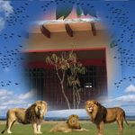 Profile Picture of Constancio Benitez Gonzalez (@constanciobenitezgonzalez) on Instagram