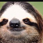 Profile Picture of Nick Ledesma (@splittzy) on Instagram