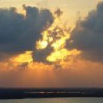 Profile Picture of Judy Scott-Walpole (@dirtwidow) on Instagram