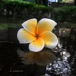 Profile Picture of Anisha Hoque (@anisha.hoque.2025) on Facebook