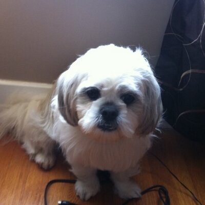 Profile Picture of Greg Sutherland (@sudsandthebb) on Twitter