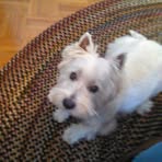 Profile Picture of Earl Tart (@earl.tart) on Facebook
