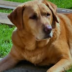 Profile Picture of Debbie Naylor Chilvers (@debbie.chilvers) on Facebook