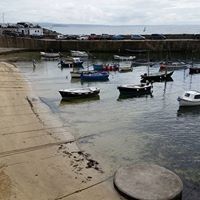 Profile Picture of Steve Folmer (@folmer0463) on Pinterest