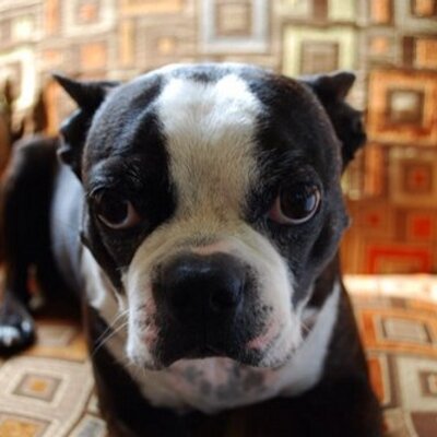 Profile Picture of Crystal (@crystalhelmick) on Twitter