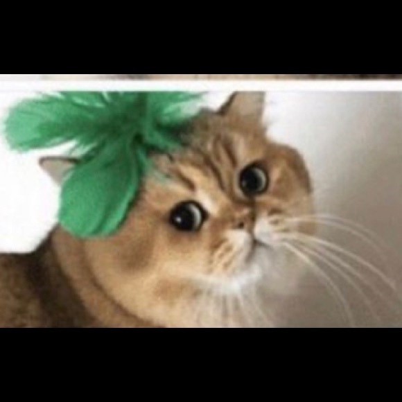 Janet Humphries - Poshmark Profile Picture of Janet Humphries (@jjjh199) on Poshmark