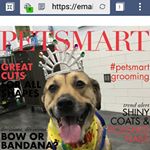 Profile Picture of Christopher DeMass (@christopherdemass) on Instagram