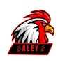 Profile Picture of A L E Y R A Z A (@@aleygamingboltay) on Tiktok