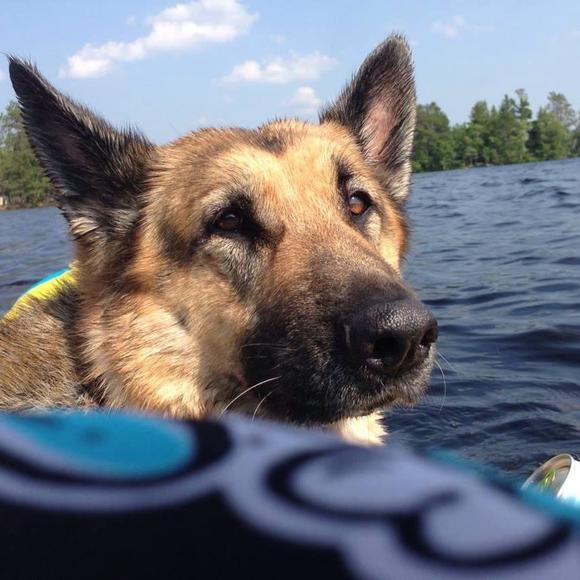 Profile Picture of Tammy Haapakoski (@burrowslake) on Poshmark