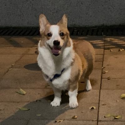 Profile Picture of Boris Tang (@balltang) on Twitter