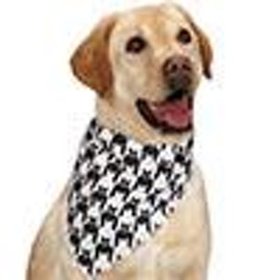 Profile Picture of Howard J Willis (@HJWillis) on Twitter
