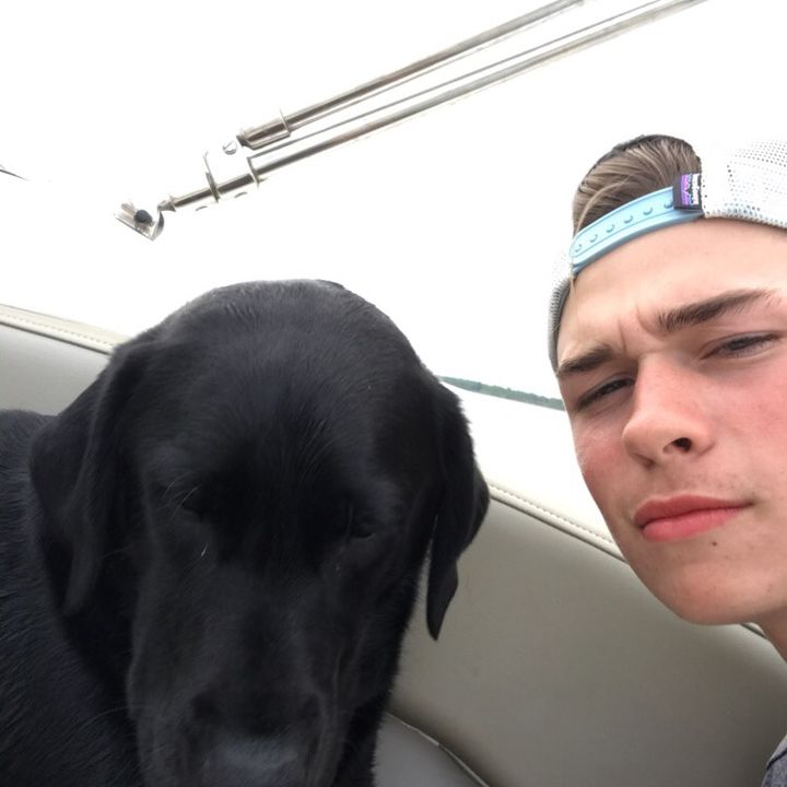 Profile Picture of Patrick sterrett (@patricks123) on Tiktok