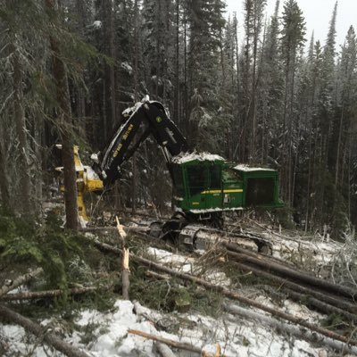 Profile Picture of Kyle Mcclelland (@kylemclelland42) on Twitter