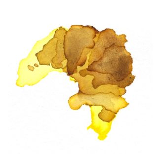 Profile Picture of Floor Plan Croissant (@fplancroissant) on Instagram