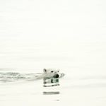 Profile Picture of Miguel Quevedo (@decibel_polar) on Instagram