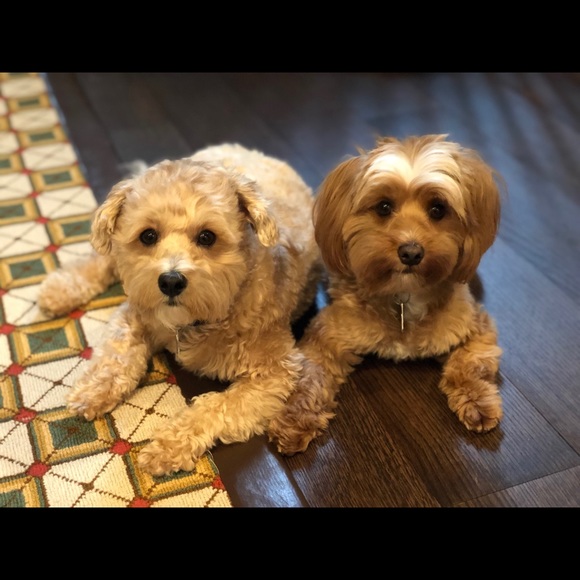 Profile Picture of M Asness (@mjasness) on Poshmark