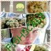 Profile Picture of Steven Fish (@steven.fish.37266) on Facebook