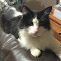 Profile Picture of Ryan Weisgerber (@ryan-weisgerber-4) on Quora