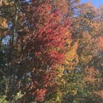 Profile Picture of Jeri schwartz (@jerischwartz1) on Instagram