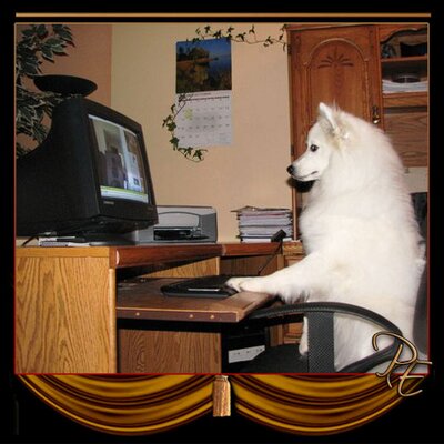 Profile Picture of Debra H. Freeman (@DebraFreeman) on Twitter