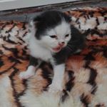 Profile Picture of Jade (@_jade.devries) on Instagram