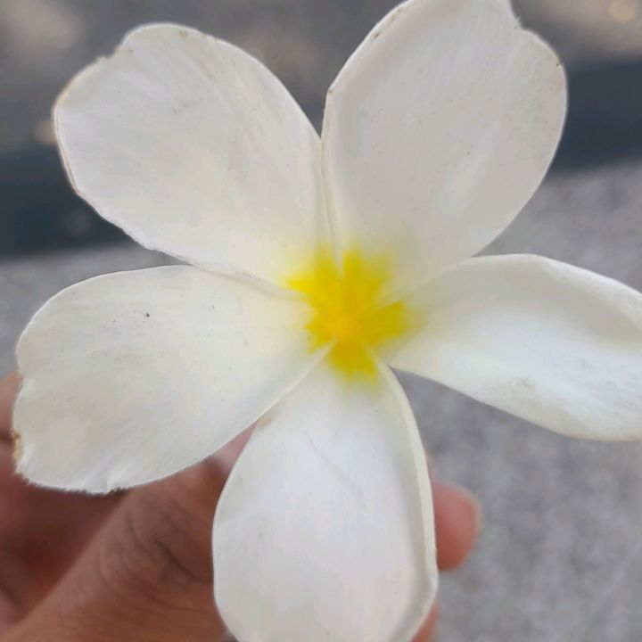 Profile Picture of Michael Marc (@michael.marc4) on Tiktok