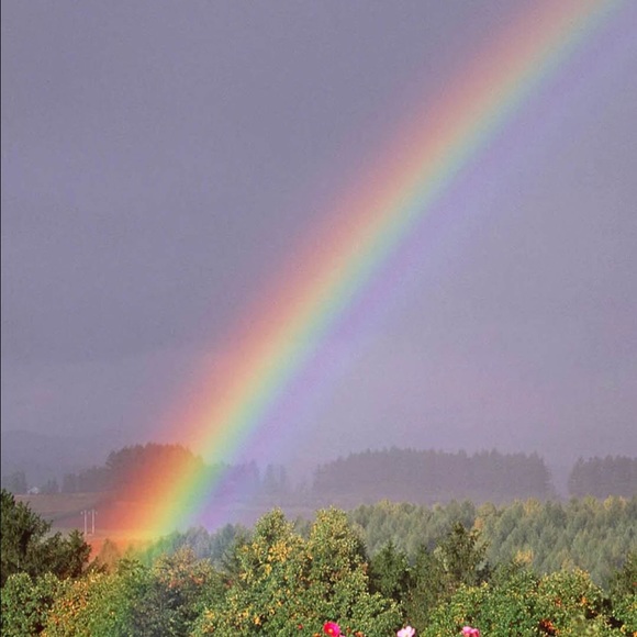 Profile Picture of Teresa Krispinsky (@krispybug) on Poshmark