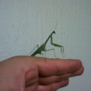 Profile Picture of Claudio Astudillo (@JcAstudillo2779) on Twitter