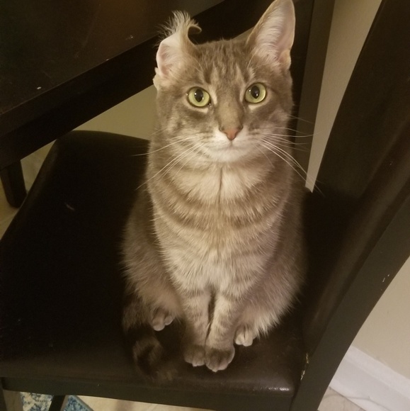 Profile Picture of Marc Mantone (@marcmantone) on Poshmark