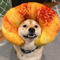 Profile Picture of Bryce Gamble (@bryce-gamble-3) on Quora