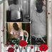 Profile Picture of John Bernado (@john.bernado.35) on Facebook
