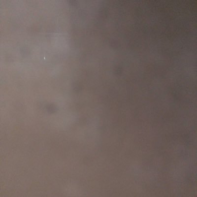 Profile Picture of Steve (@steve_reardon) on Twitter