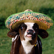 Profile Picture of Chris Lessard (@gatorhater2500) on Youtube