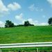 Profile Picture of Elizabeth Linke (@elizabethlinke86) on Pinterest