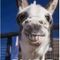 Profile Picture of Chris Hempel (@chris.hempel.18) on Facebook