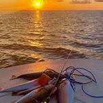 Profile Picture of Steve Hammack (@steve.hammack.7) on Instagram
